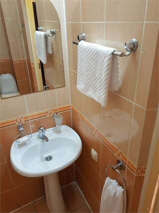 Гостиница Мон Плезир Владимир Двухместный номер с 1 кроватью-5