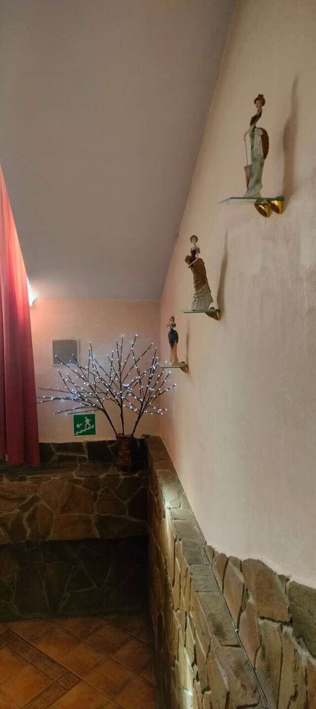 Гостиница Мон Плезир Владимир-102