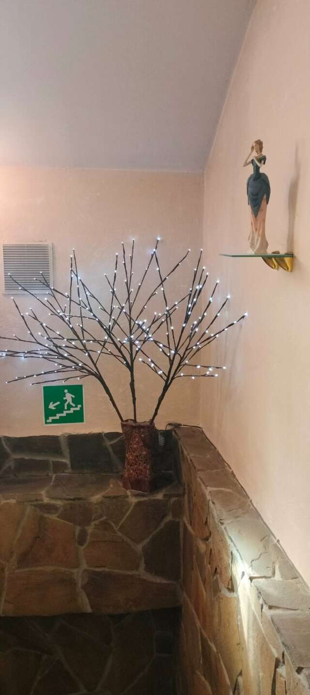 Гостиница Мон Плезир Владимир-137